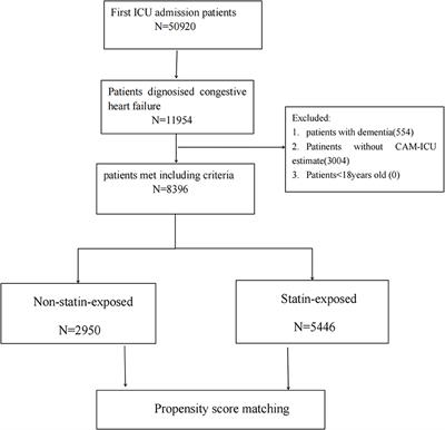 Association between delirium and statin use in patients with congestive heart failure: a retrospective propensity score-weighted analysis